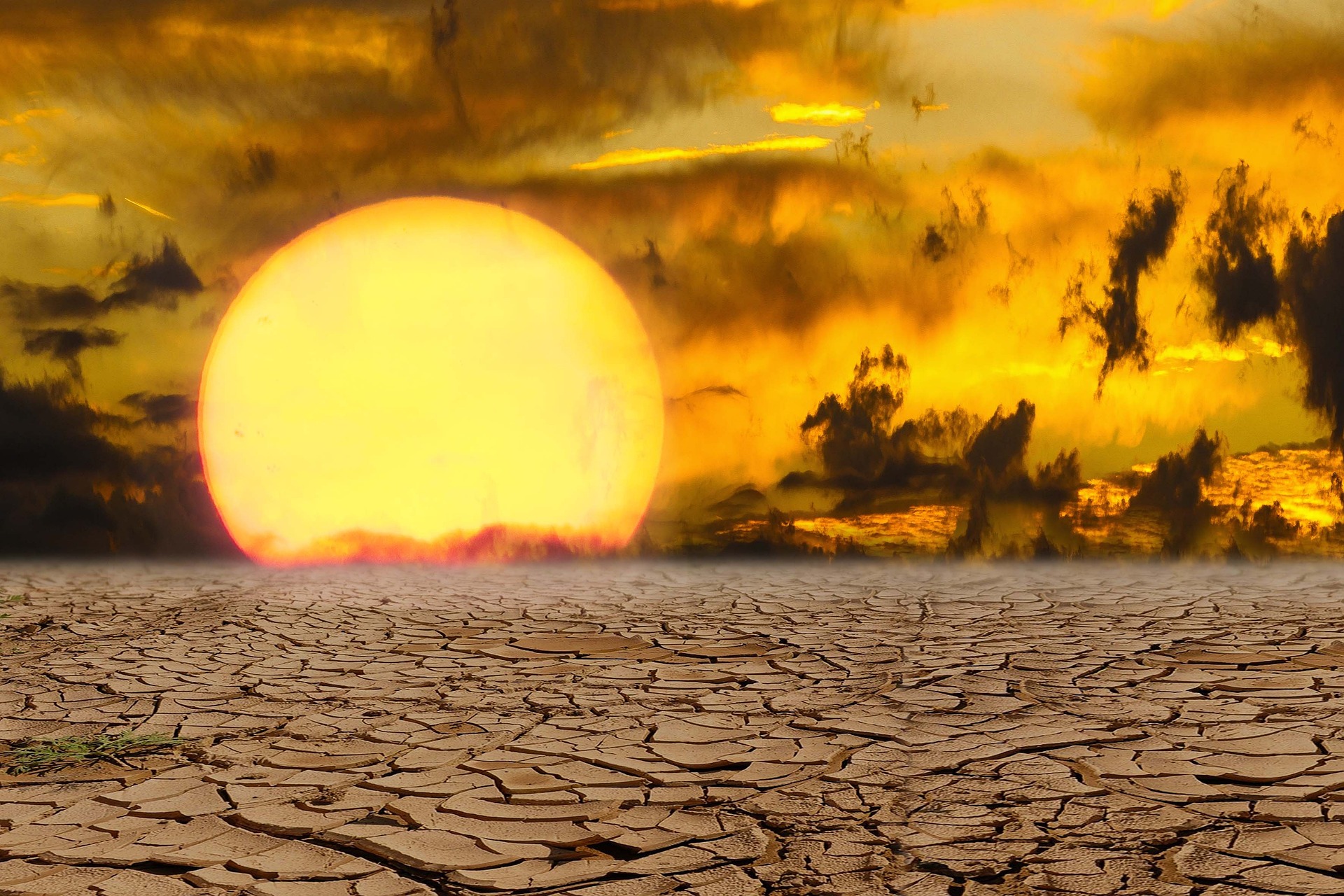 Riduzione impatti cambiamenti climatici sulla salute